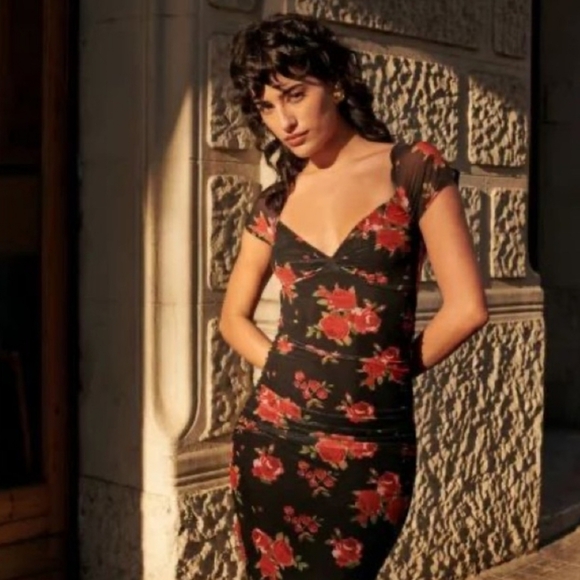 ROUJE LALY ANDALOU ROSES DRESS - Picture 7 of 12